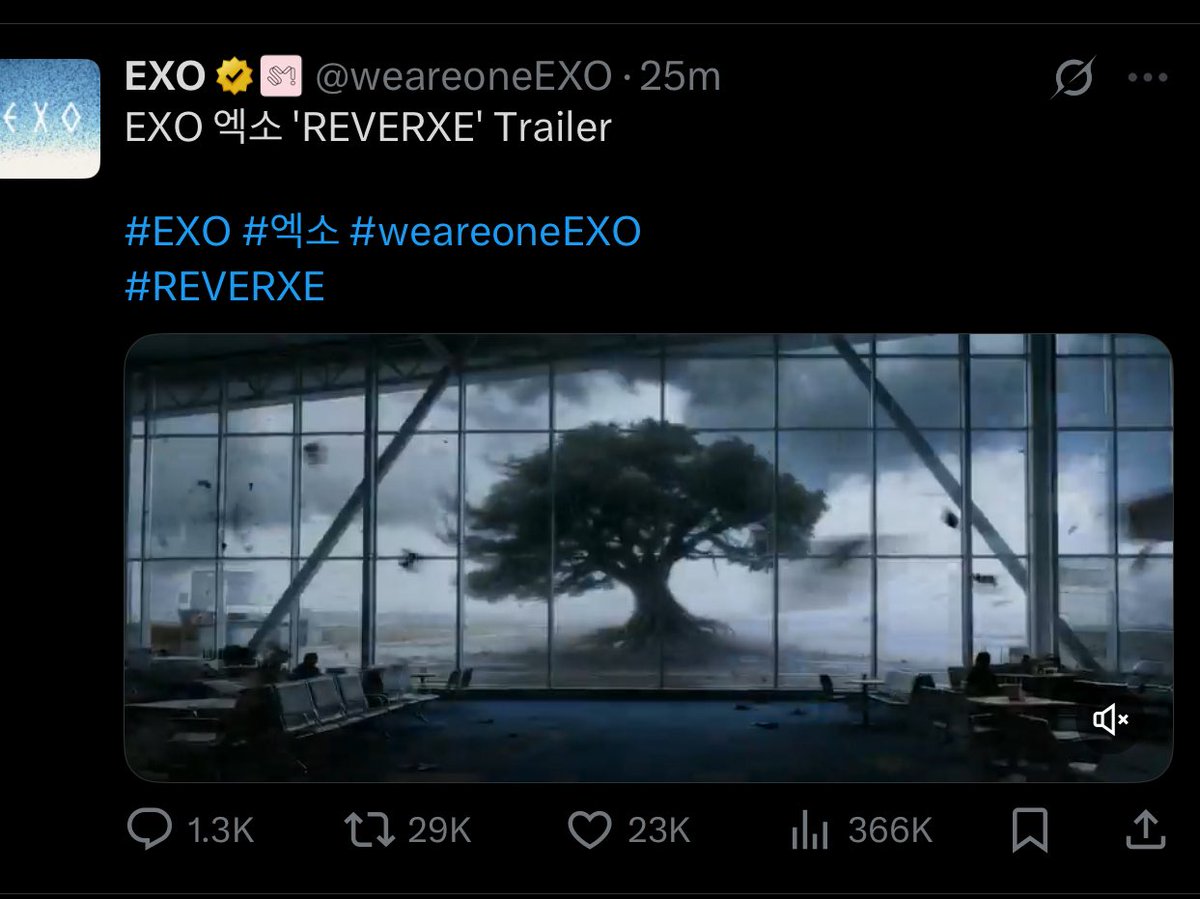 LEY • ia✨ tweet media