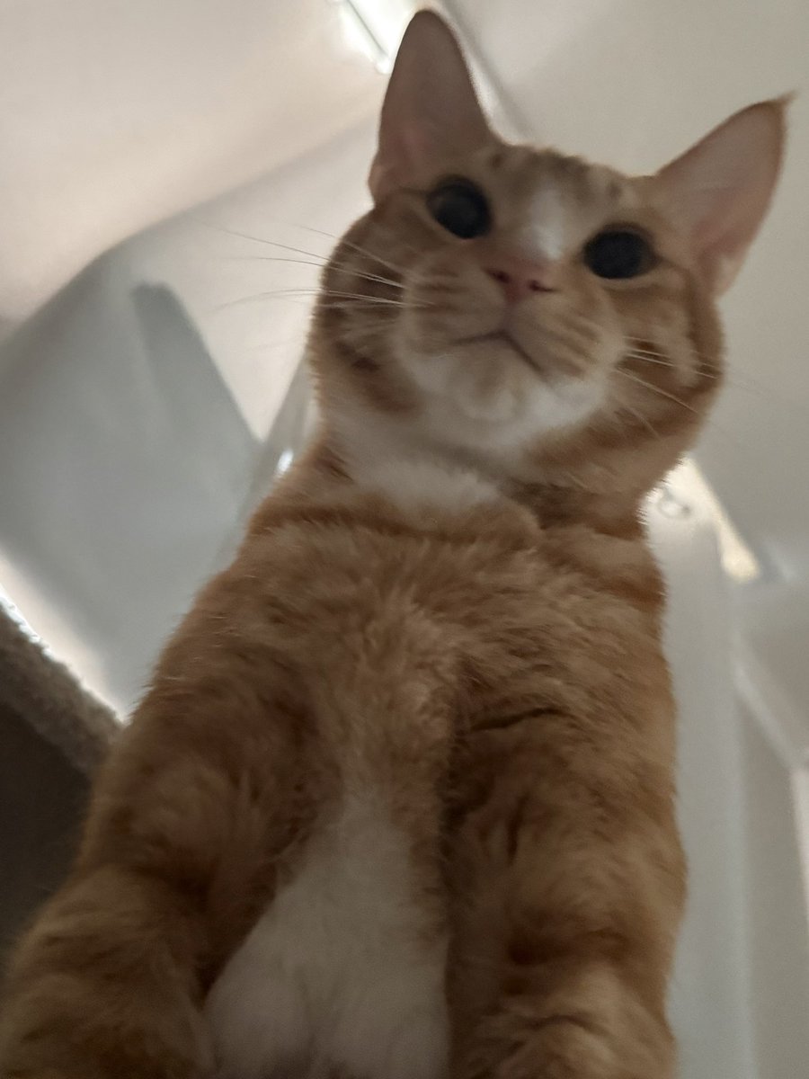 네
수숭은
실패햇습니다