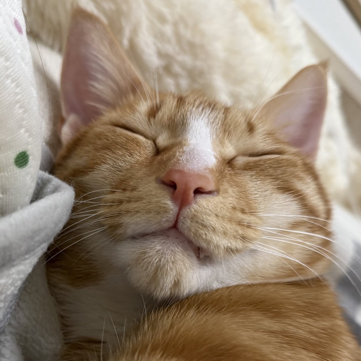 저희집 애도 자주 깜빡헙니다