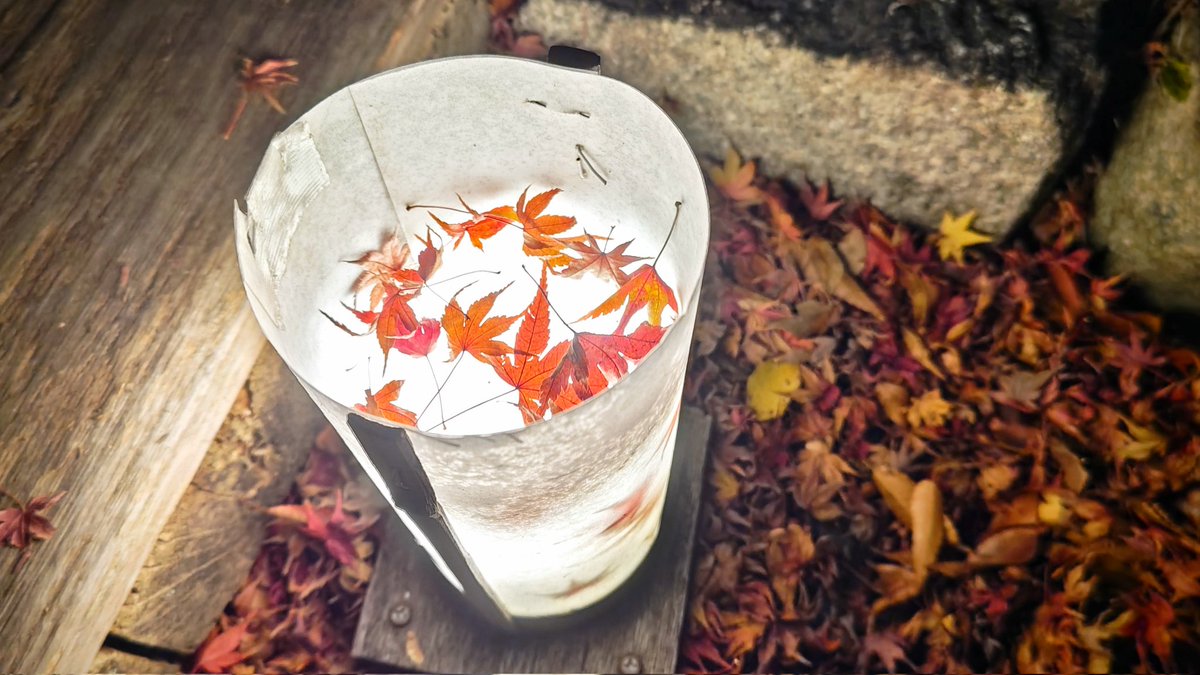 ひろぽん錠41mg「HH」 (@A35round) / Posts / X