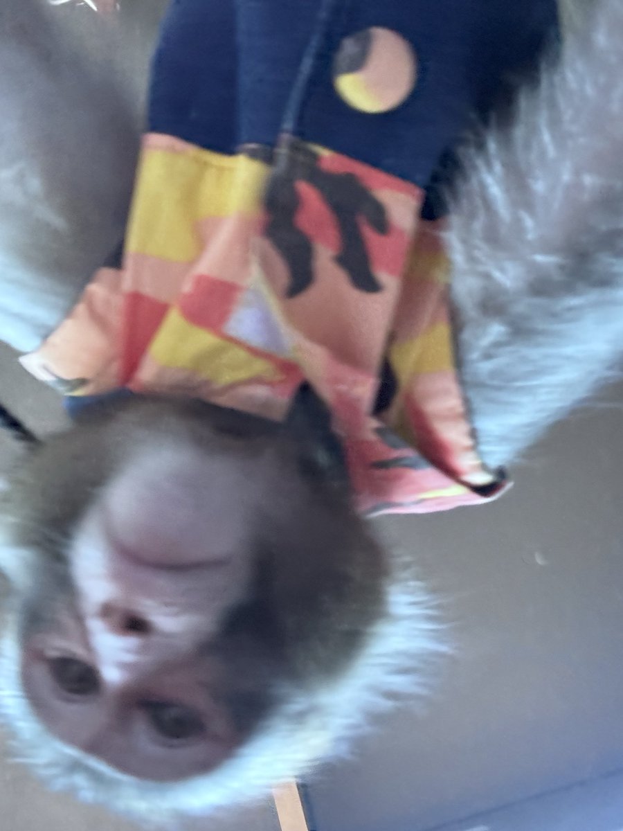 Gen-Ten (@0523_gen) / Posts / X