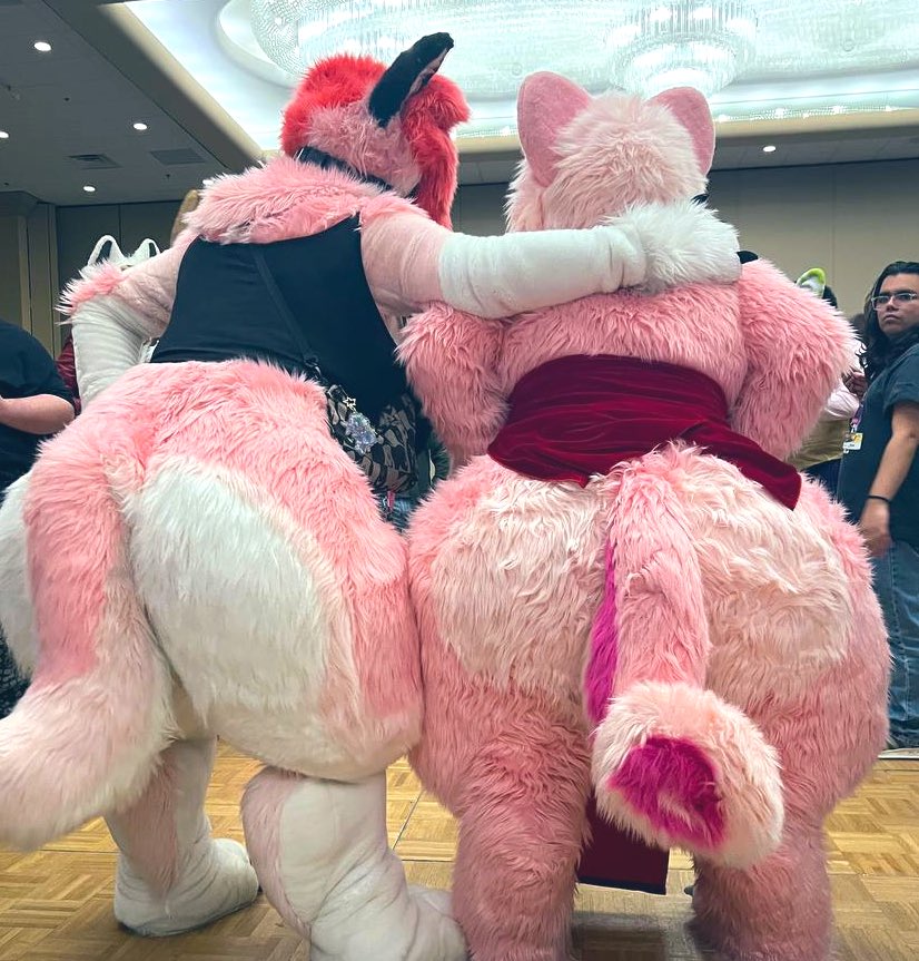 valentine 💖🐺 tweet media