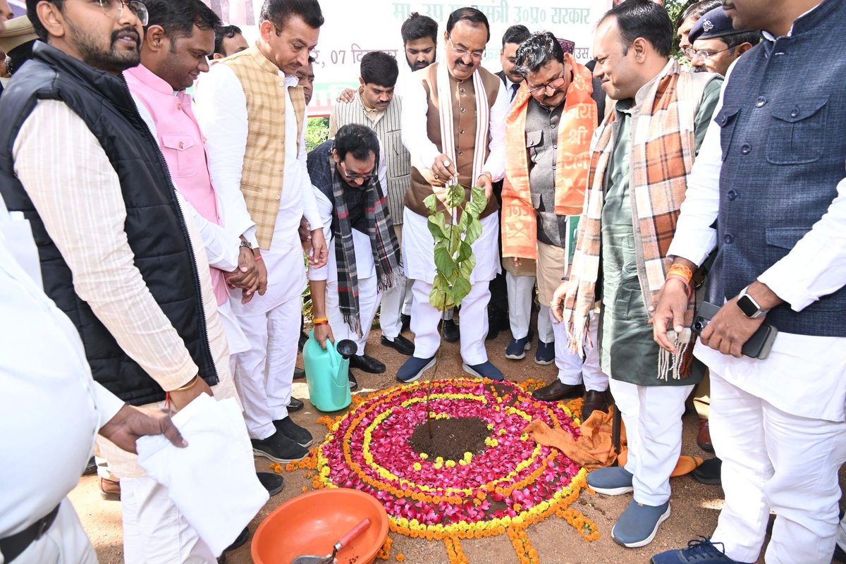 एक पेड़ माँ के नाम…