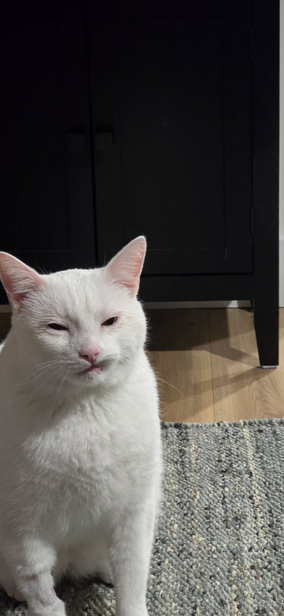 IkeB247's tweet image. His name is Jeff.