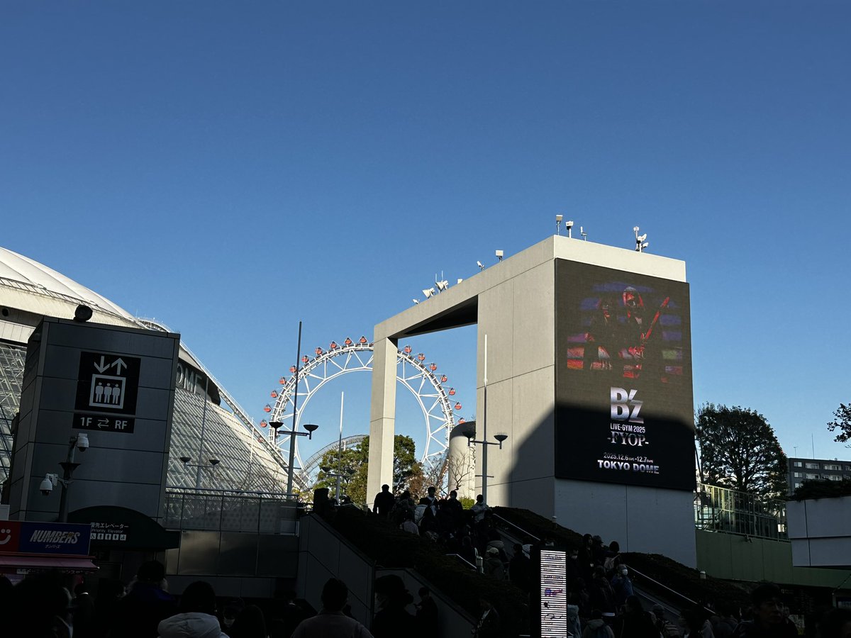 みしにゃん tweet media