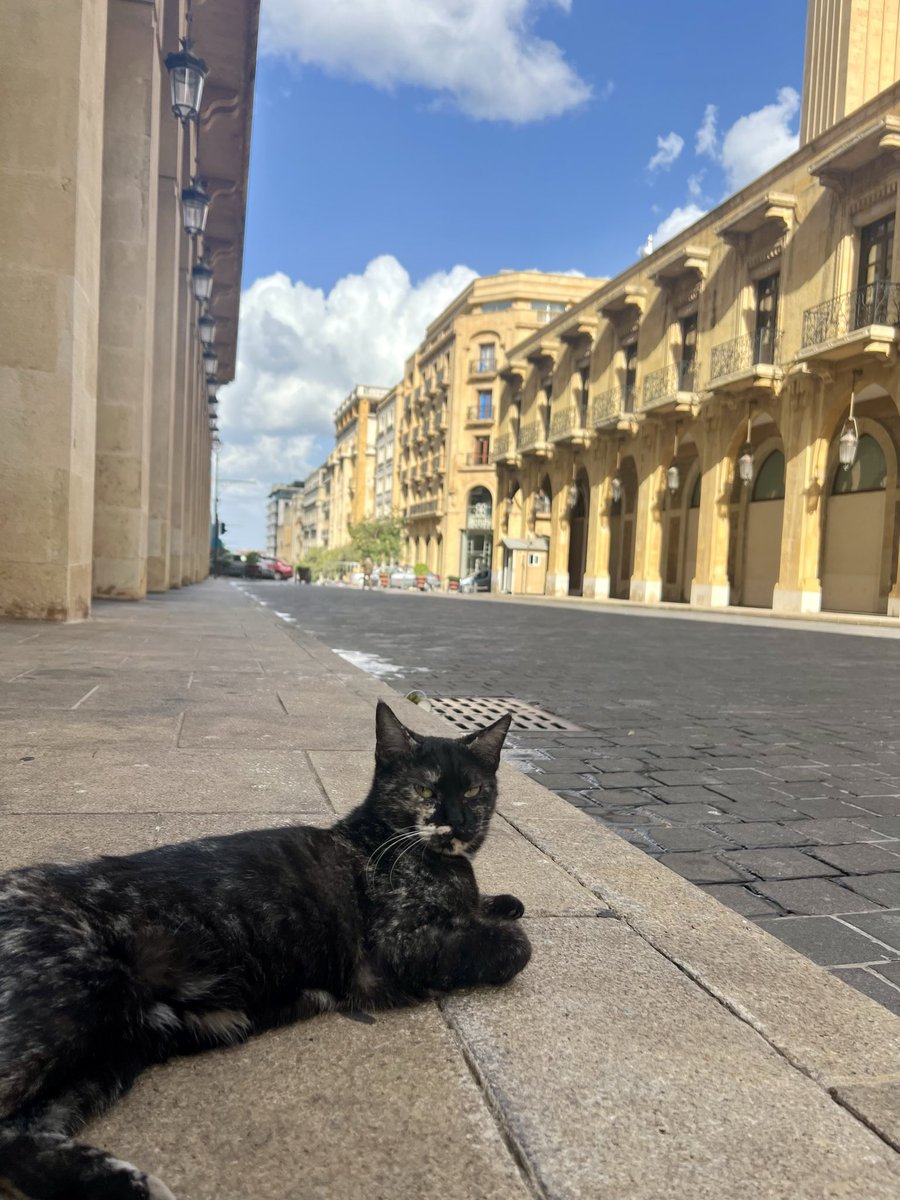 قديش كان في ناس 
ع المفرق تنطر ناس 
😍😍