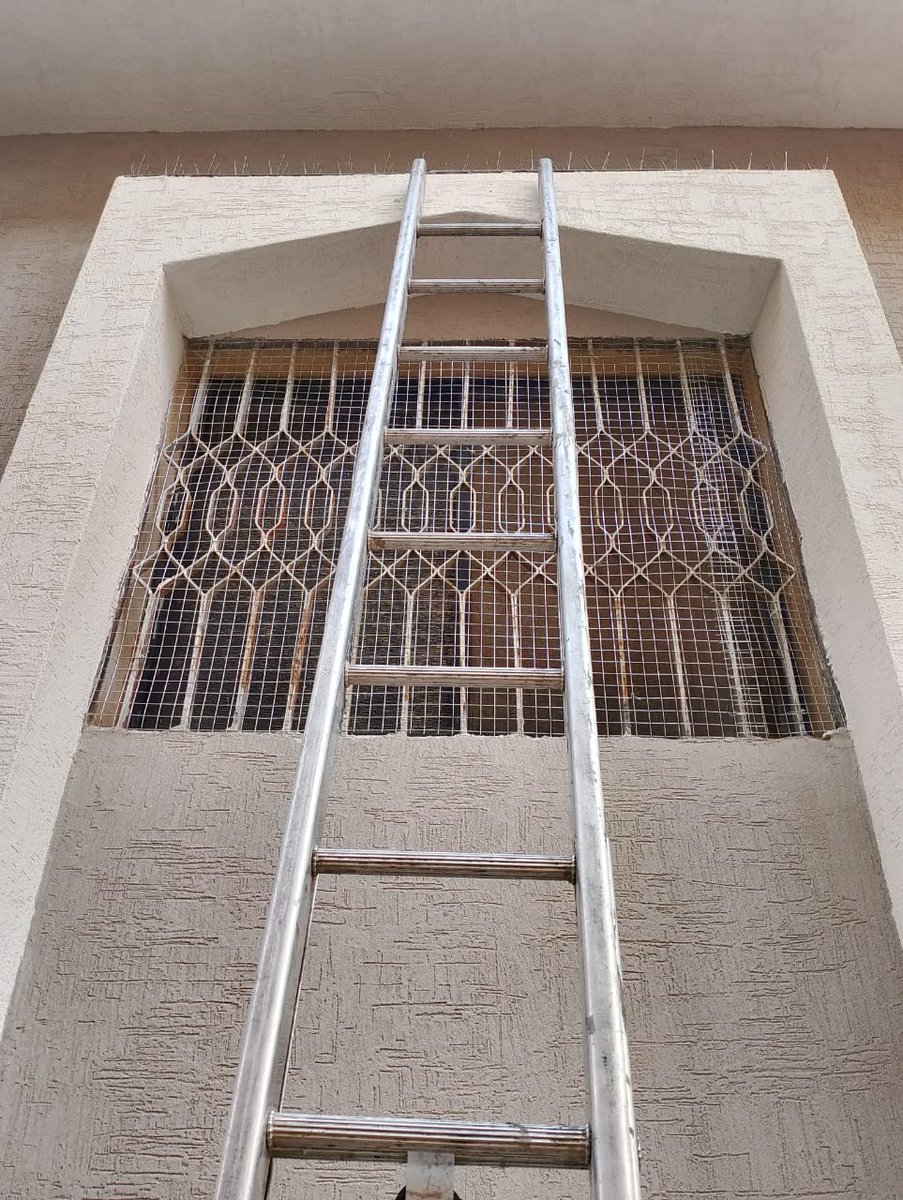 شركة تركيب طارد الطيور والحمام بالرياض  شبك الحمام
 تركيب طارد الحمام والطيور
افضل الأسعار اتصل نصل أينما كنت
افضل الطرق لتركيب طارد الحمام
تركيب بأيد عامله مدربه مكافحة الحشرات ، رش مبيدات حشريه  تركيب شبوك ، اشواك ، البروز 

0555636294📞
#الخبر_خضراء #افضل_هدف_بكاس_العرب