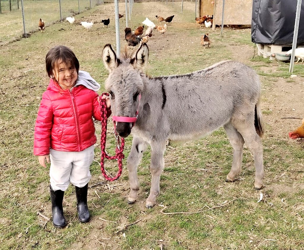 Che colore ha la felicità?