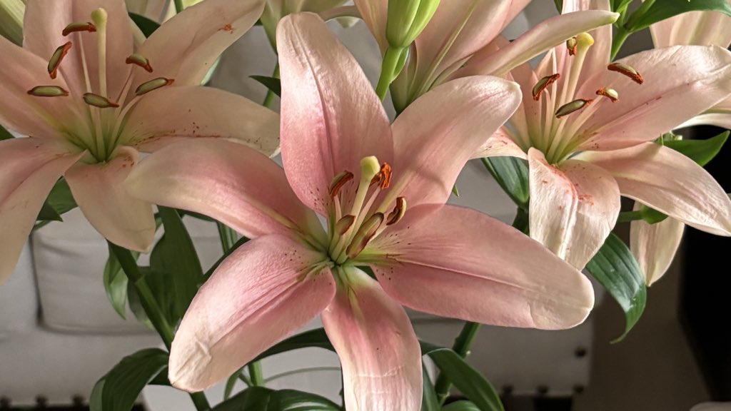 llll15s's tweet image. 