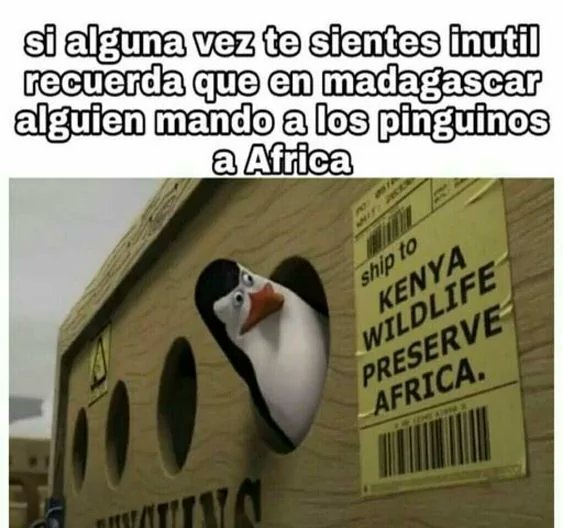 Una hormiga que mira tu post 🐜 (@hormiga_returns) on Twitter photo 