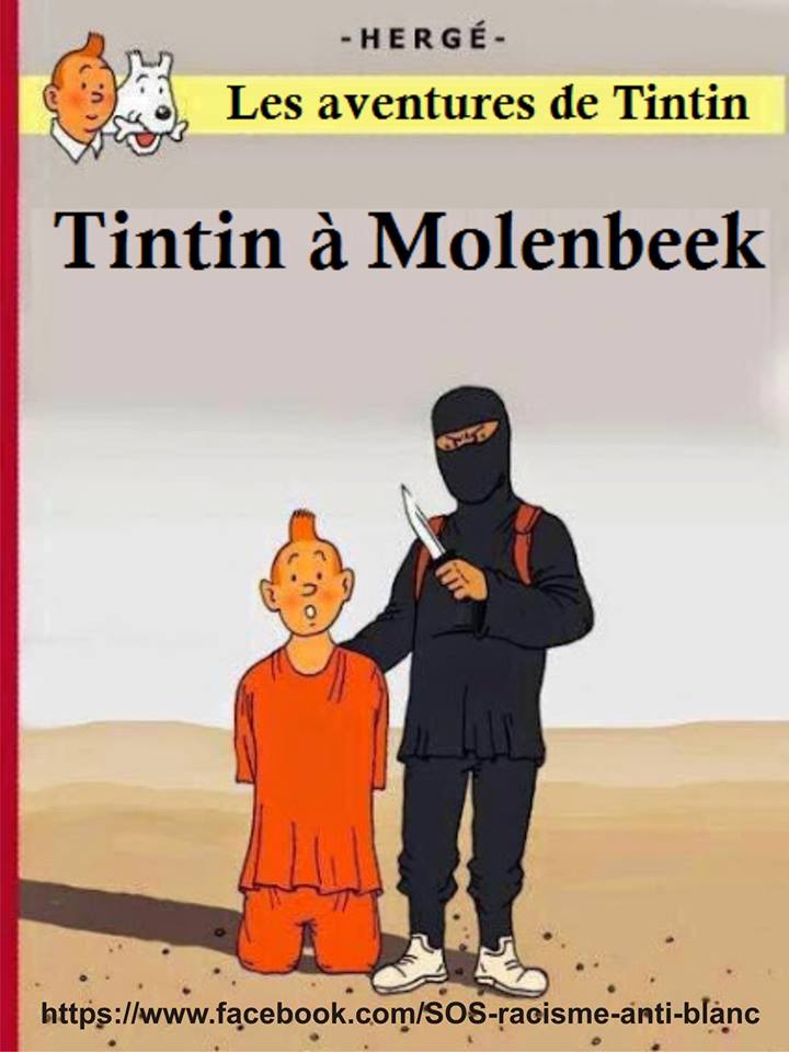 Tant si val si és a França, Catalunya, Molenbeek o gairebé qualsevol altre indret d'Europa.
Si "Tintín" acaba malament, no serà per ser "francès", "Català" o "Flamenc", sinó per ser europeu.

Entenem les noves regles "del joc"?, o preferiu continuar ancorats al segle XX.