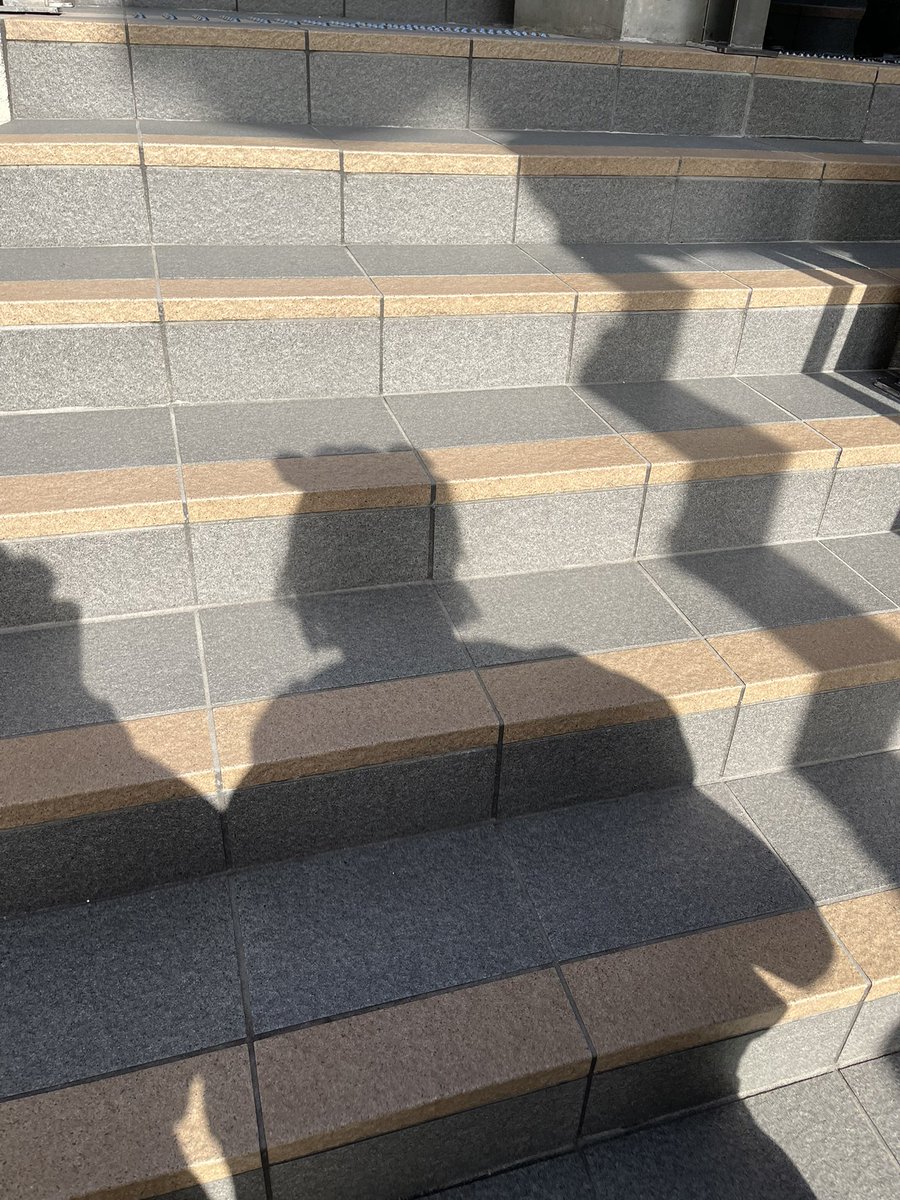 おもち食う tweet media