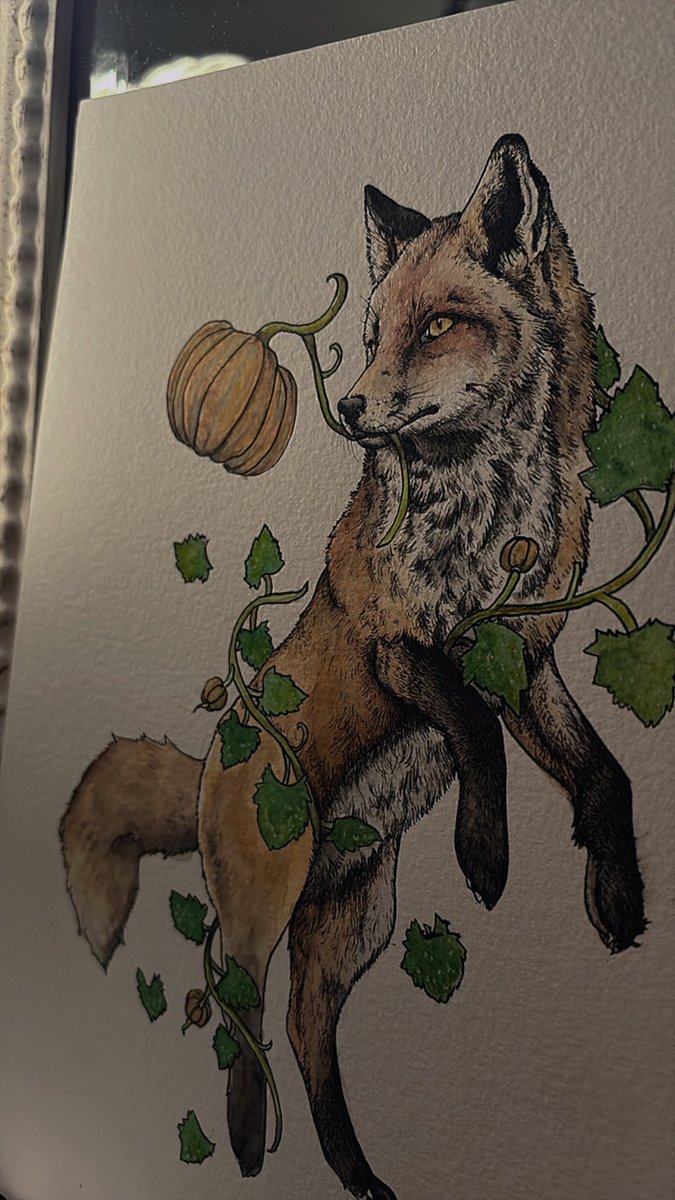 個展が決まりました🍁🎃

日程:2026年10月20日(火)〜24日(土)
　　　　                27日(火)〜31日(土)
場所:カフェ&amp;ギャラリー アンティグア