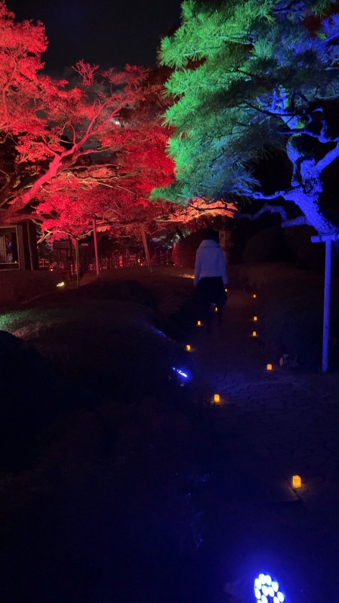 先日訪れた近所の日本庭園、松風園のライトアップされた紅葉を見に行きました🍁🍁
幻想的で静かな夜に癒されました😊

#松風園
#ライトアップ