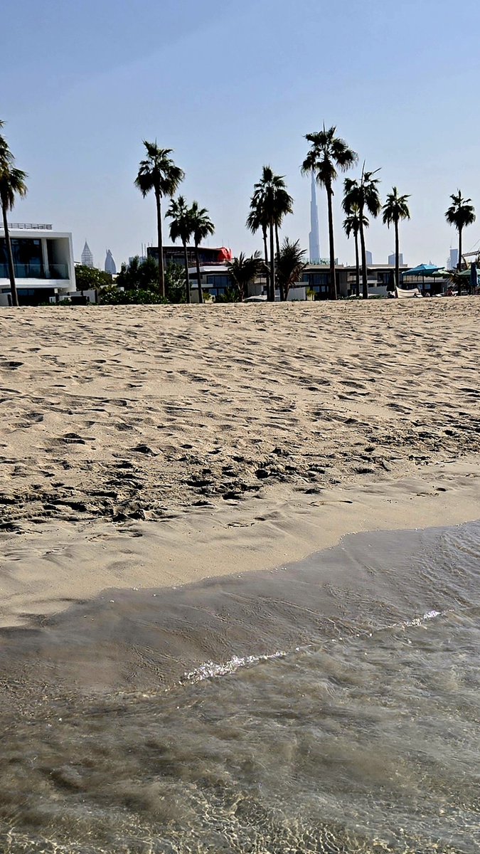 MarioKB's tweet image. 近くのビーチに来ました 🏖