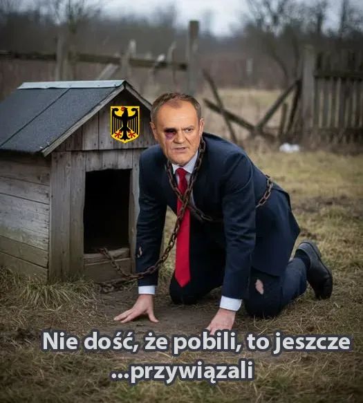 Zdzisław Górnik (@gornikaw48379) on Twitter photo 