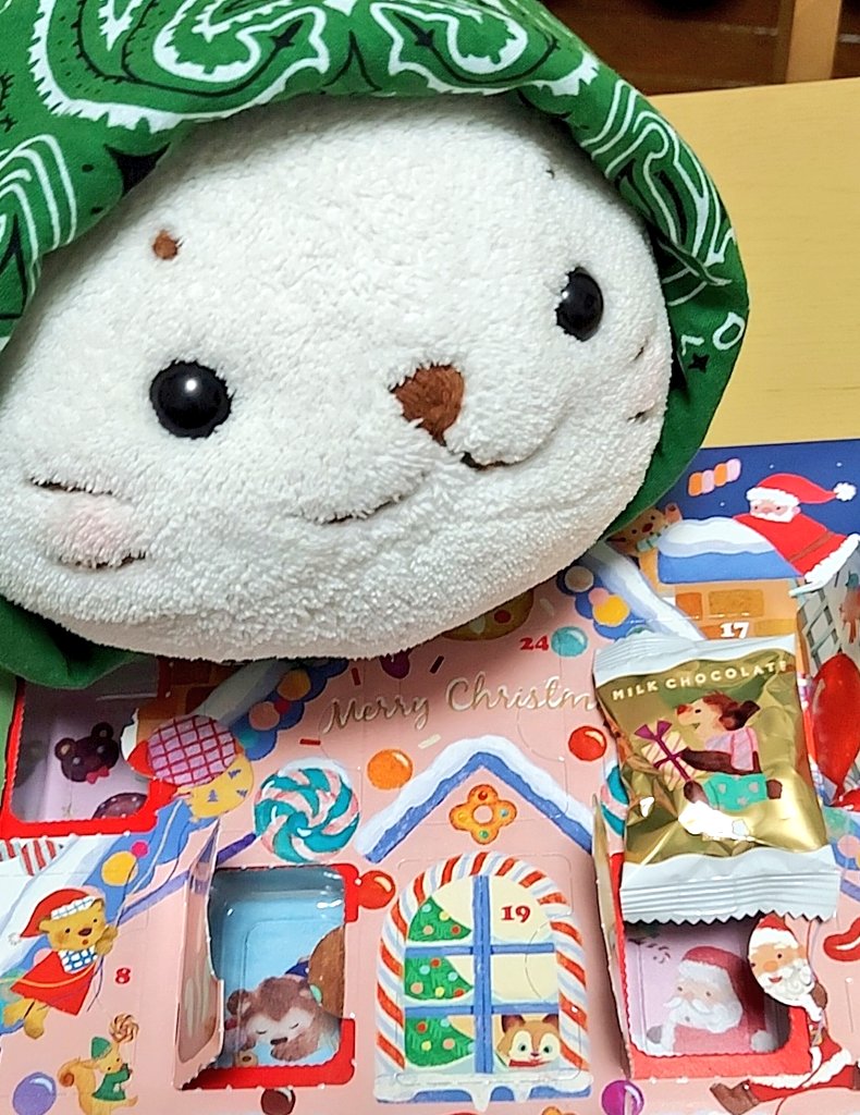 今日はミルク🐮チョコレート🍫きゅ
(*´ω｀*)
 #しろたん