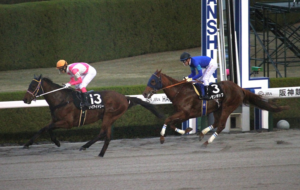 水ナス (@vKhAUJtQ0D3JPIU) / Posts / X