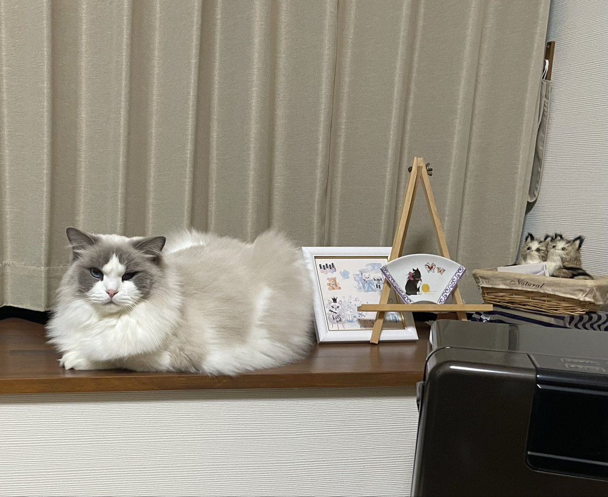 みんながワイワイ鍋してるのを、ちょっと離れたところからおとなしく見てる