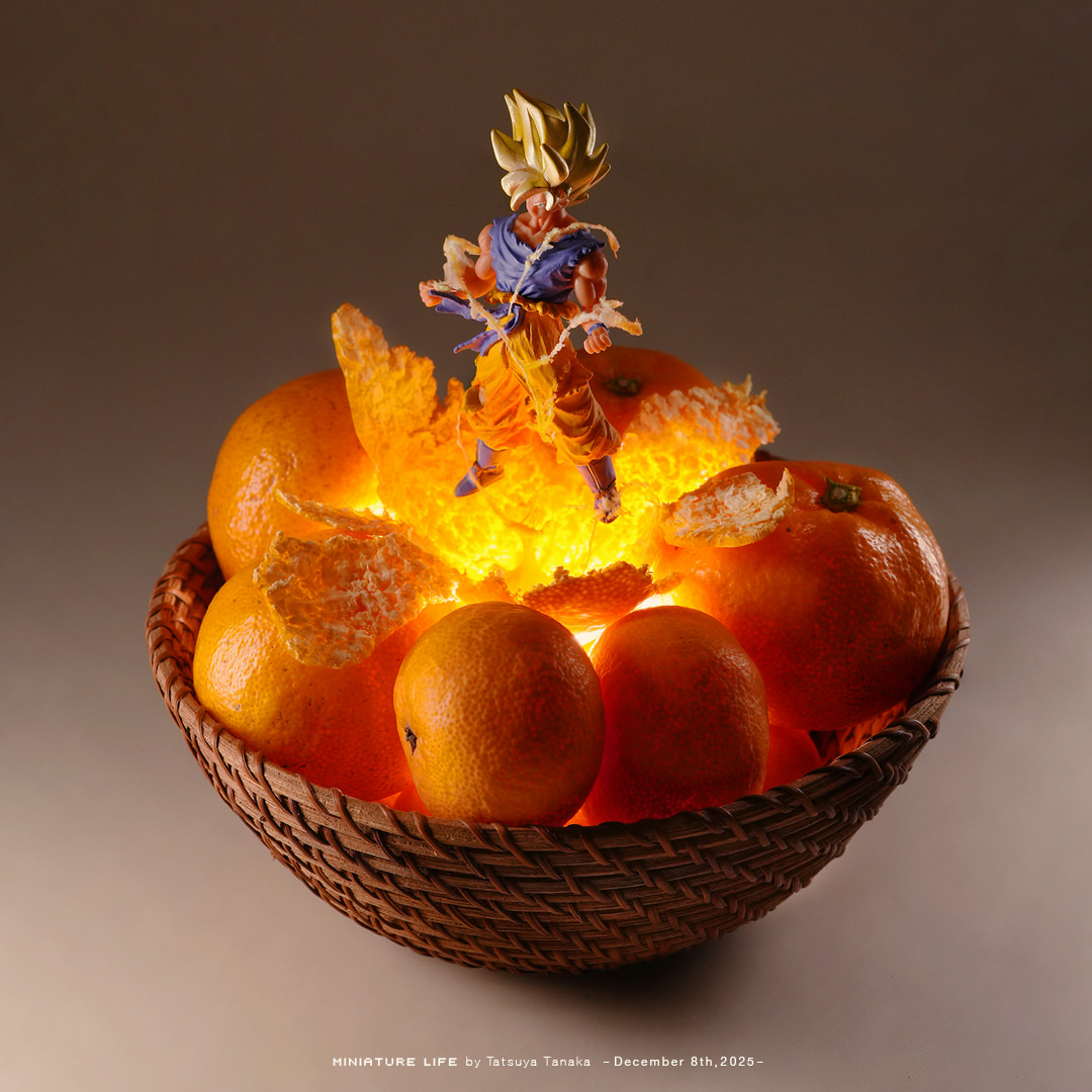 Post by Tatsuya Tanaka 田中達也 on X: 酸っぱーサイヤ人