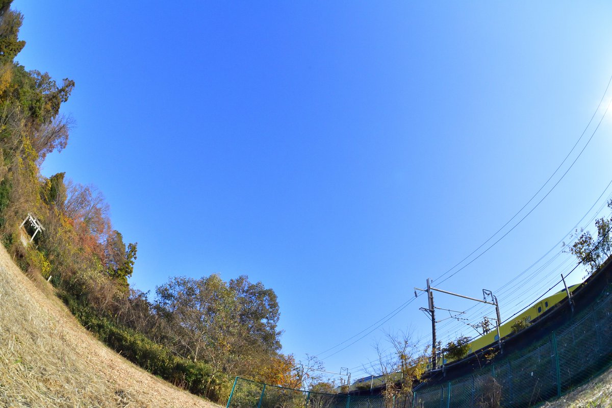 Takachan_1981's tweet photo. 本日のドクターイエロー!
オールドレンズで、撮影📷
青空&鳥居&ドクターイエローの欲張り構図😅微妙な結果に終わる…
#新幹線 #ドクターイエロー #鉄道写真 #doctoryellow #新幹線電気軌道総合試験車 #923形 #T5編成 #Shinkansen #鉄道 #東海道新幹線 #DY #オールドレンズ #Fisheye #NIKKOR https://t.co/PZwo3PPYu7