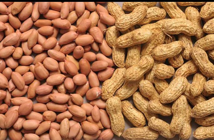MANIRAFASHAAlb2's tweet photo. Groundnuts (peanuts) are a powerhouse of nutrients. They support brain health with healthy fats and vitamin E, boost testosterone levels with zinc, and provide protein for muscle growth. A small nut with big benefits for overall well-being.
#Brain&Testesteron
#Groundnuts https://t.co/lr63zZ4lJu