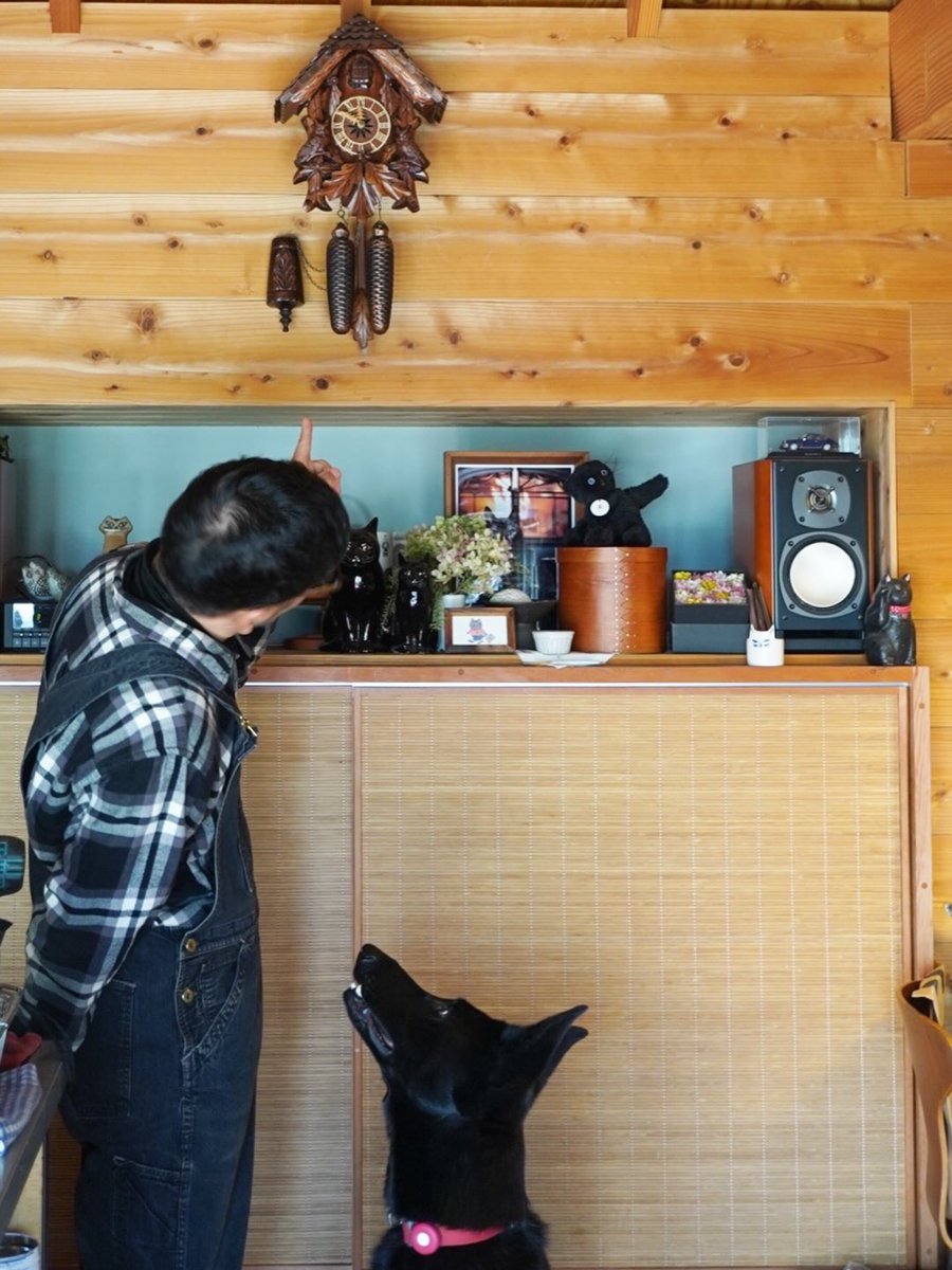 ノロ【くろねこノロのたび】 tweet media