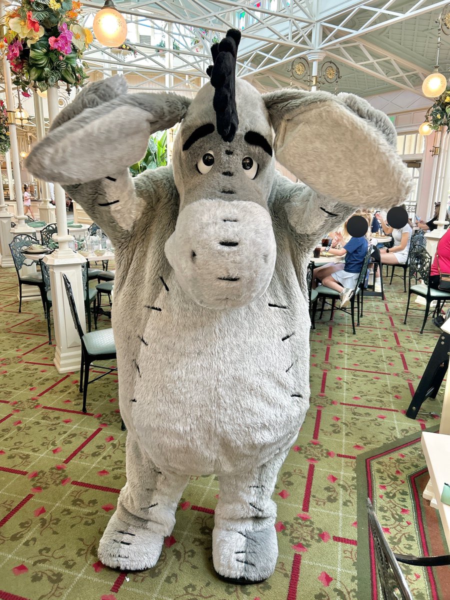 ピグレット🐷 (@pigletniaitai) / Posts / X