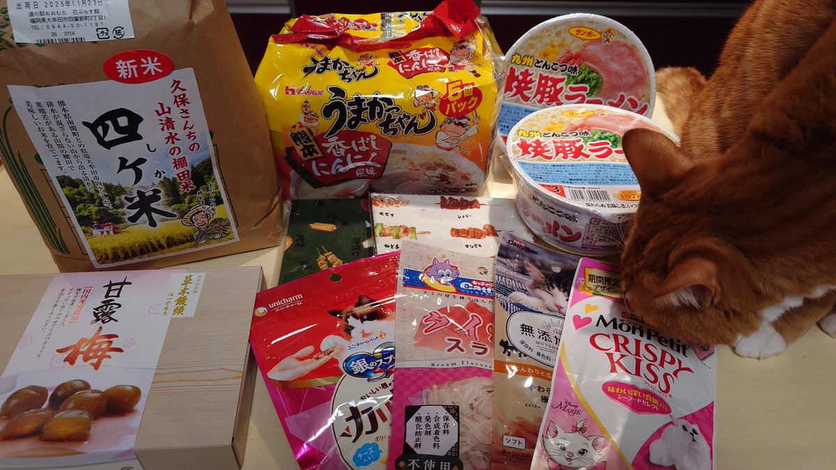 harumifuto's tweet photo. 熊本のお友達からステキ便が届いた😊

お友達の家のねこちゃんのにおいがするせいか、自分たち用の品物もあったことに気づいたのか、早速スンスンしてる

大切に味わわせていただきまーす https://t.co/qe397ztozL