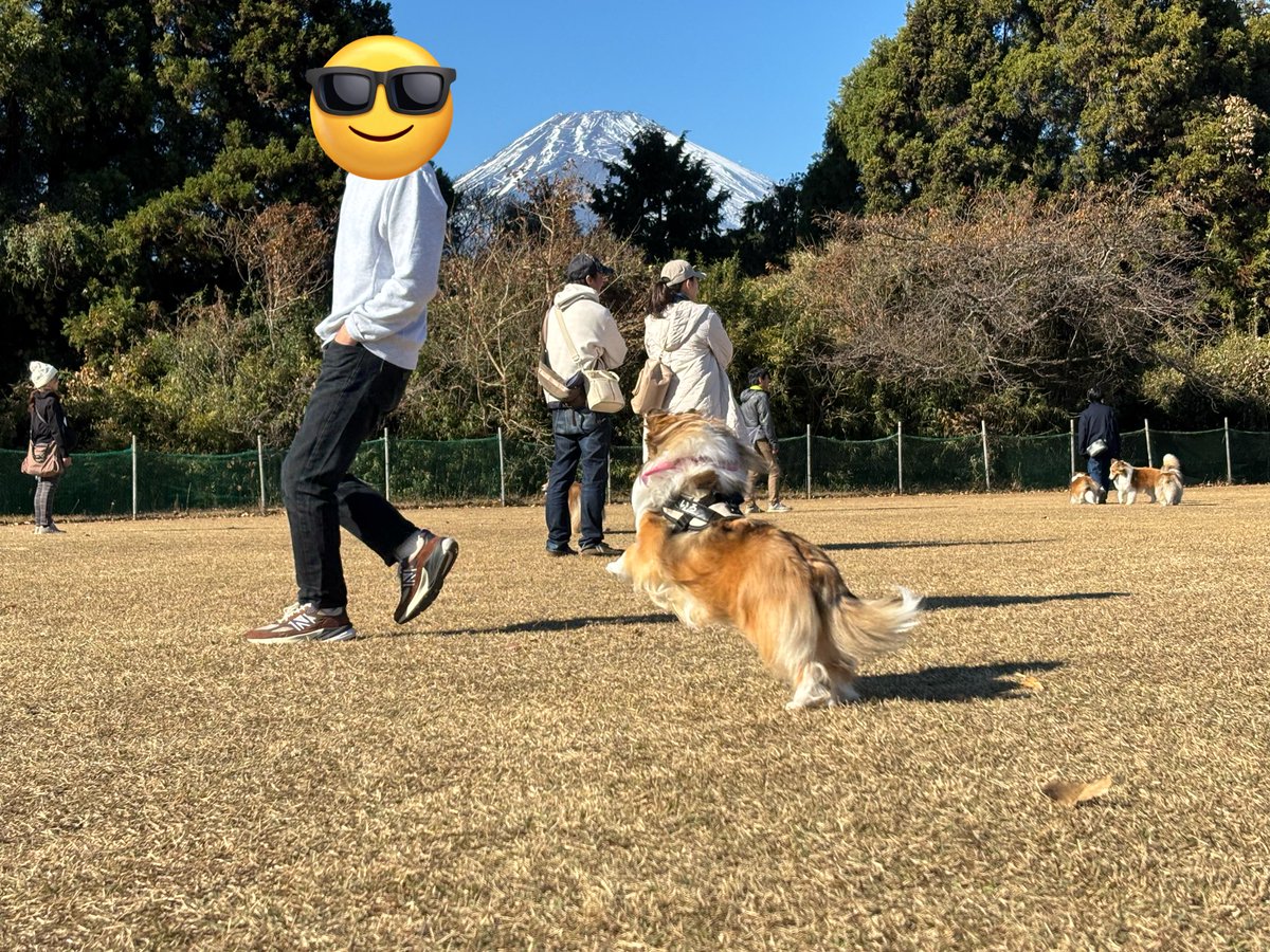 今日はいろのブリーダーさんリトルエンジェルさんのファミリー会に参加してきました✨
みんな可愛かった〜❤️