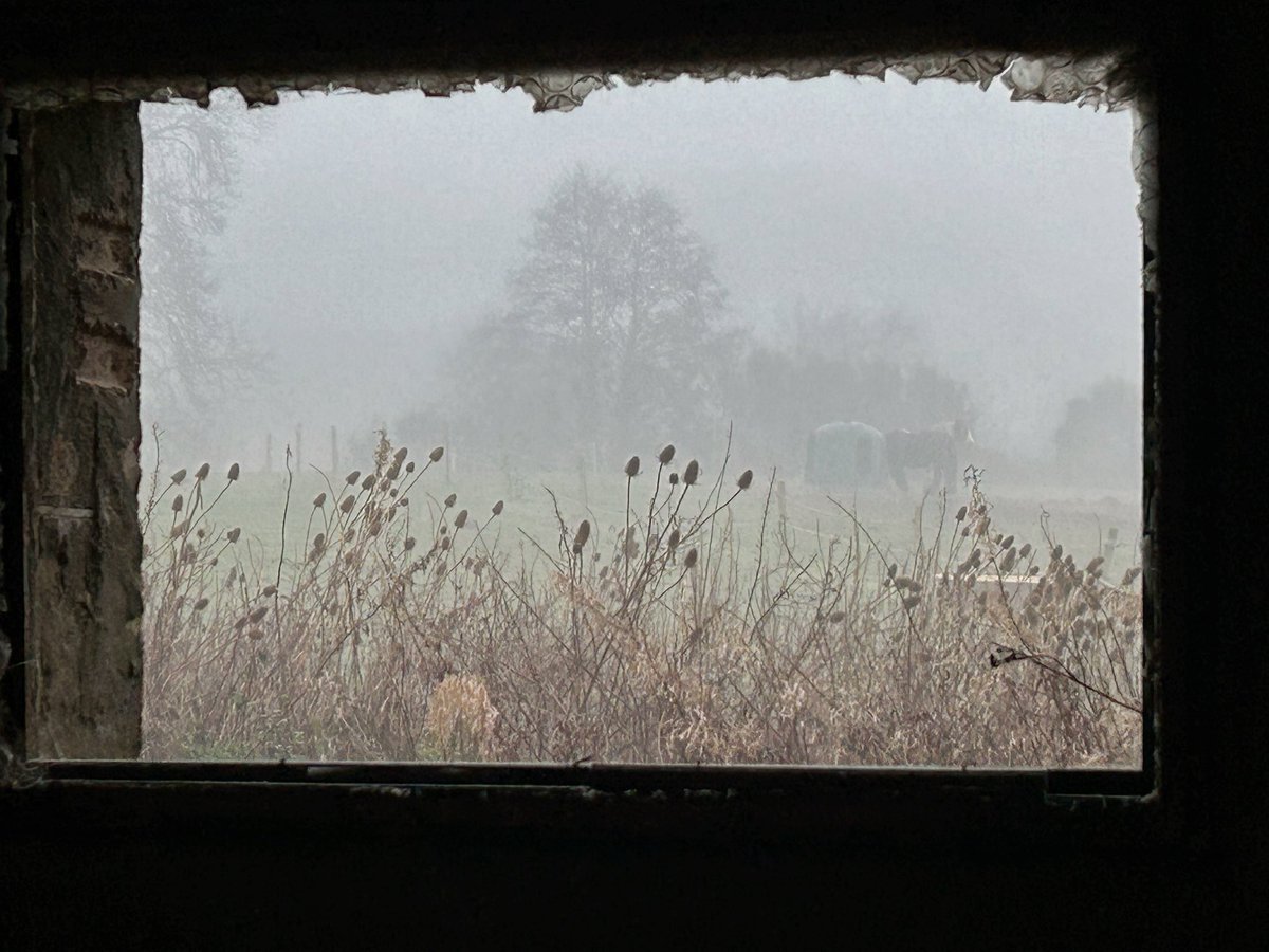 Julia Stanley tweet media