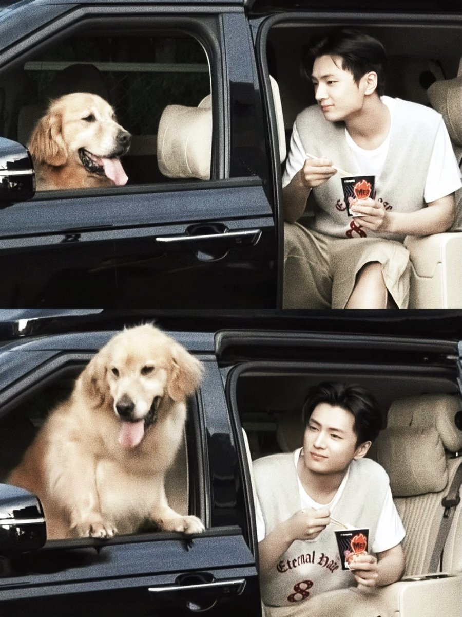 noisynj's tweet image. 