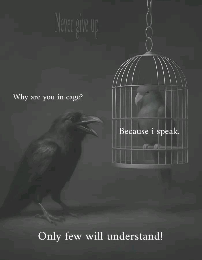 Dini Kortman (@dinikortman) on Twitter photo 