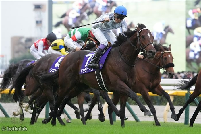 ポスター み*ゆ様 2025年 天皇賞(秋) ドウデュース