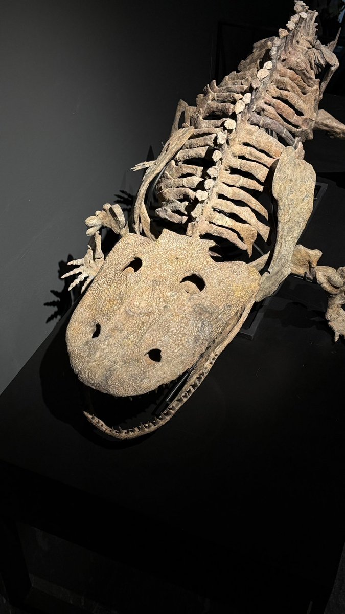 dbrfff's tweet image. очень охуенно