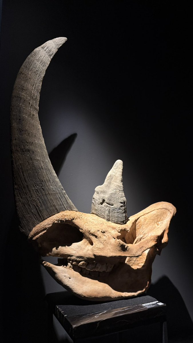 dbrfff's tweet image. очень охуенно