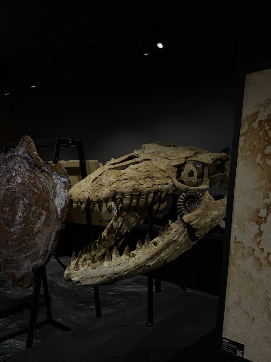 dbrfff's tweet image. очень охуенно