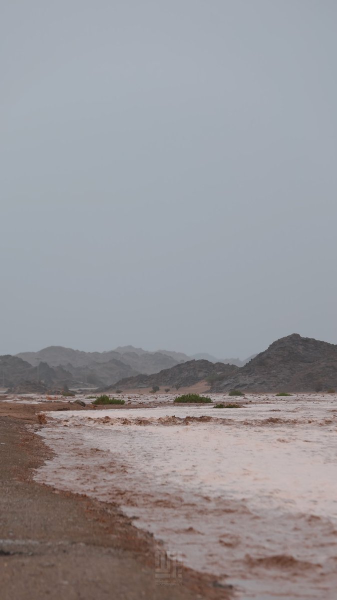 raaad2014's tweet photo. سيول قرية #الشدخ جنوب محافظة #املج 

7 #ديسمبر 2025

@mshtaq2009 @bariq_Sudir @ArabiaWeatherSA @yanbu_w @Zeyad_jehani @Arab_Storms https://t.co/8X46bjmgr9