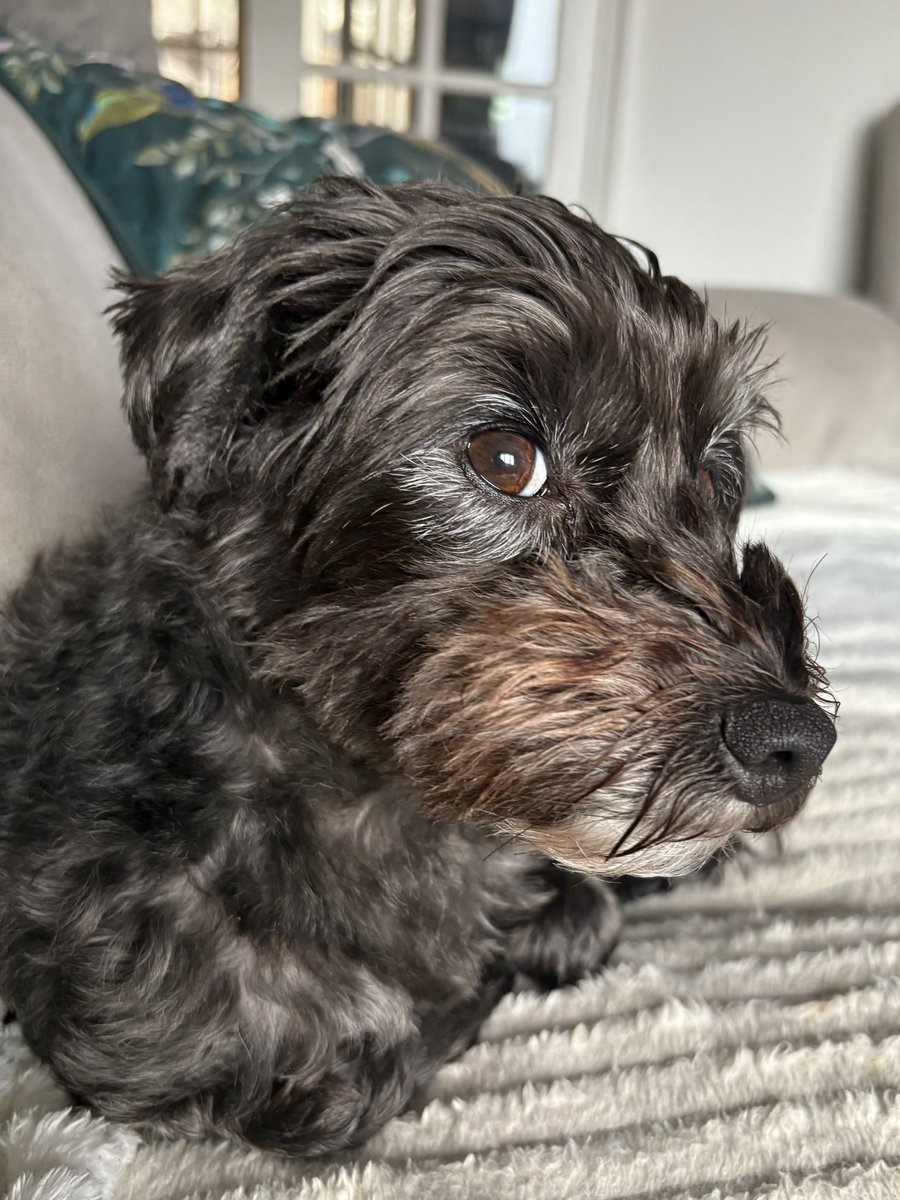 Graeme Bandeira tweet media