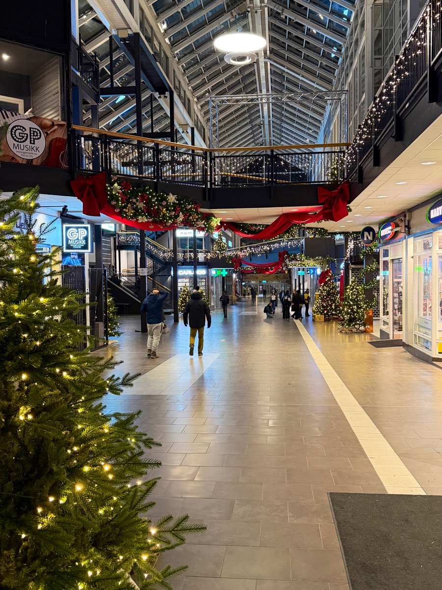 Bodø / Norway 🇳🇴