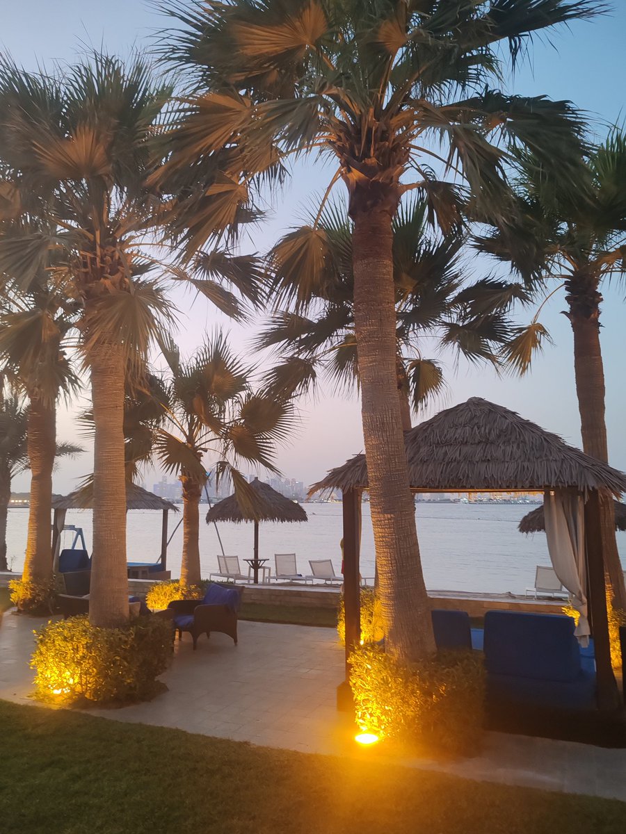 تناميتُ عالياً وعالياً حتى جُففتُ
 بعضٌ من رعونةٍ بقيت في جذوري مددتُ يدي متعبةً ألوّح إلى من يعاندني
شاخ البحر من عمري
 وأجابني منهكاً
من كان هنا لم يعد طفلا.