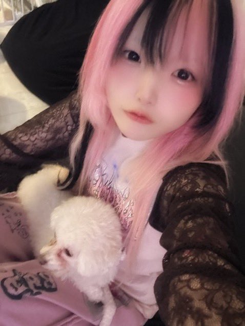 ここな (@cocona_kamone) / Posts / X