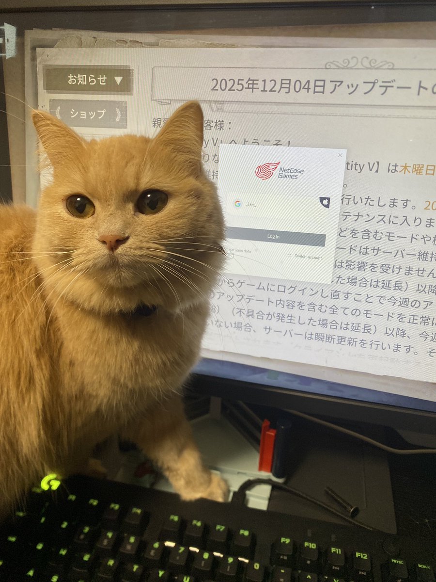 社まろぴﾁｬﾝ tweet media
