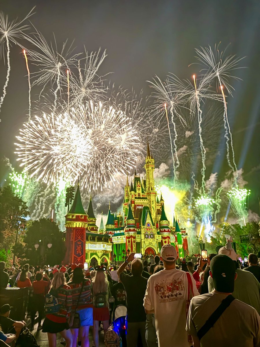 We had an AWESOME night at the most magical, or should I say merriest, place on earth! #MickeysVeryMerryChristmasParty