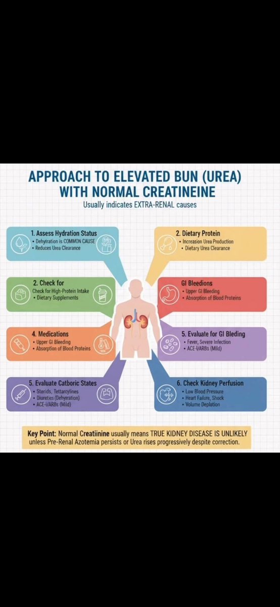 Normal kreatinin seviyeleriyle birlikte yüksek kan üre azotu (BUN) genellikle içsel böbrek hastalığından ziyade, böbrek dışı (pre-renal) nedenlere bağlıdır.

#Böbrekhastalığı #renaldisease #bun