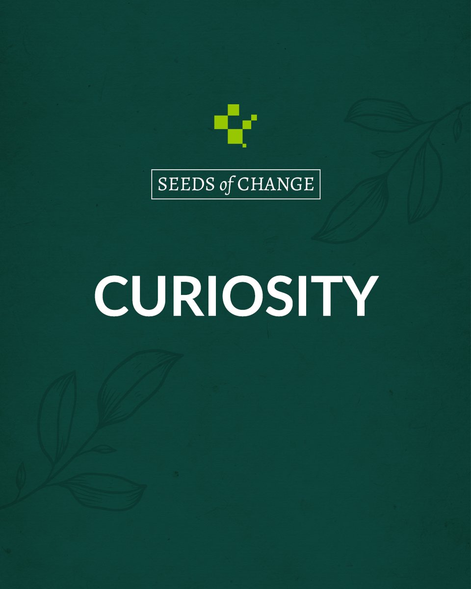 Curiosity leads to discovery; never lose the desire to learn and grow.  

#SeedsOfChange #StayCurious #KeepLearning #DiscoverYourself