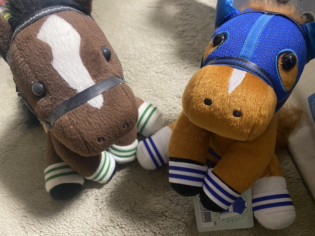 帰宅！ダイワスカーレットさん、ついにウオッカさんとご対面