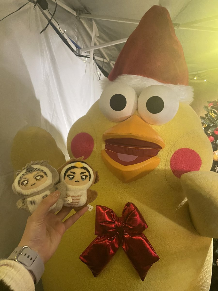 ポインコと山歩き🐥🐥🐾 (@paopaopanda_jp) / Posts / X