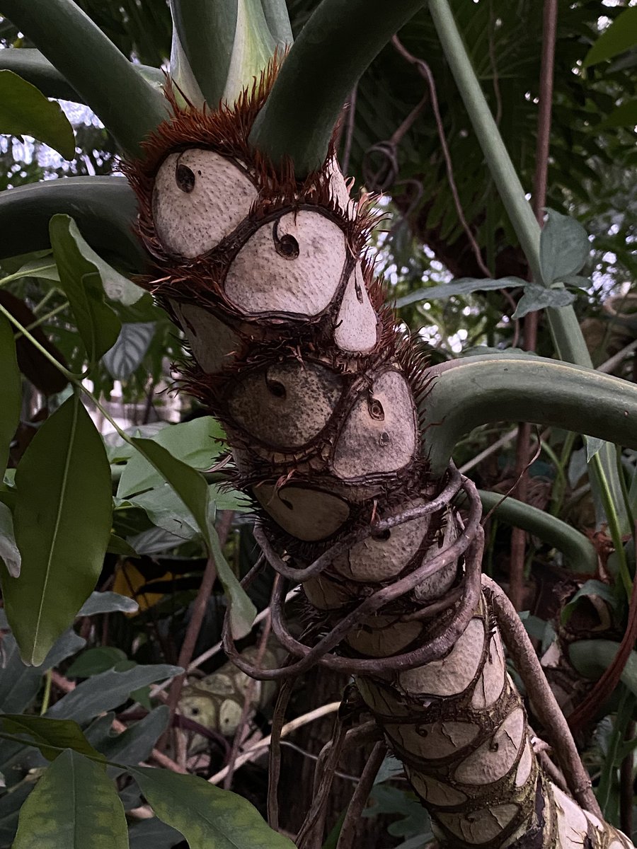 вайб присутствует