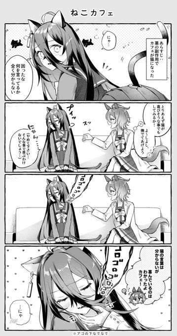ねこカフェちゃん① 
